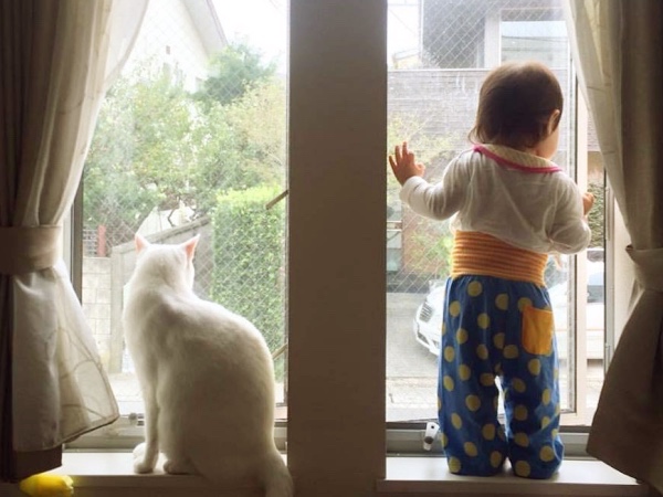 窓からの眺めがいい、素敵なお家が見つかるといいなぁ。